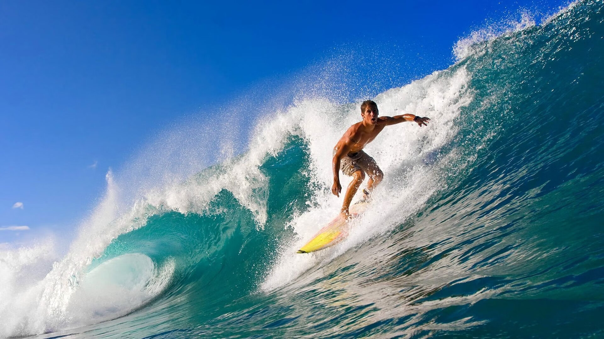 广东队主帅获赞扬，球队士气高涨，广东队的广东球员