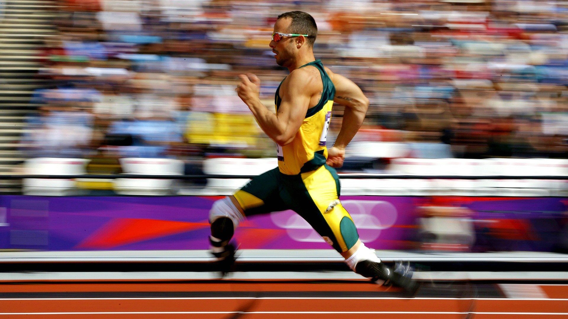 数据分析助力教练制定战术,数据分析练手项目